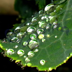 Sélection goutte d'eau