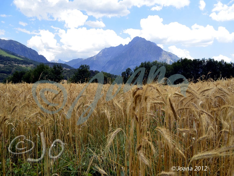 Saint-Firmin