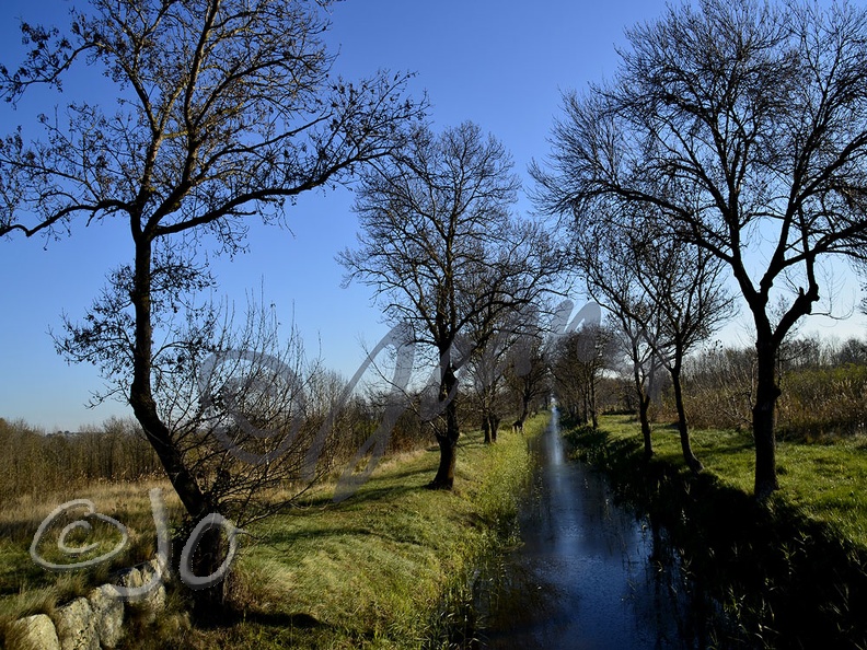 Canal-irrigation