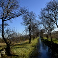 Canal-irrigation