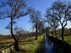 Canal-irrigation