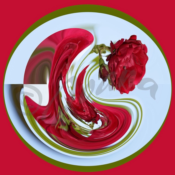 Une rose originale pour dire je t'aime !!! Fête-des-MèresC.jpg