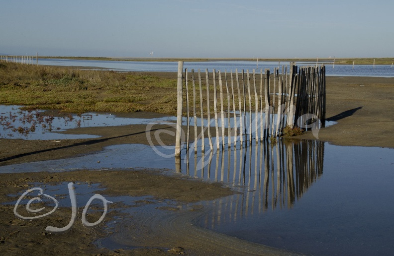 Sur-la-plage.jpg