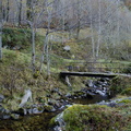 Petit-pont