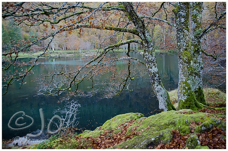 Lac de Bethmale 