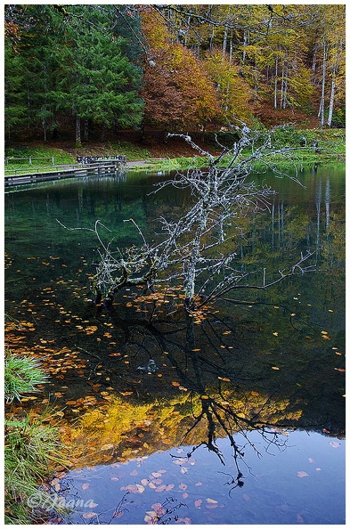 Lac de Bethmale 