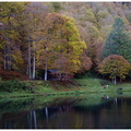 _DSC6660Bord du lac.jpg