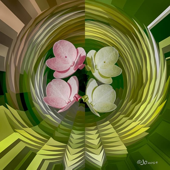 Hortensias - Hortensias.jpg Hortensias.jpg